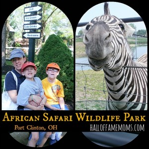african safari wildlife sandusky